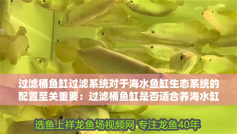 過濾桶魚缸過濾系統對于海水魚缸生態系統的配置至關重要：過濾桶魚缸是否適合養海水缸 過濾桶魚缸過濾系統對于海水魚缸生態系統的配置至關重要：過濾桶魚缸是否適合養海水缸 魚缸百科