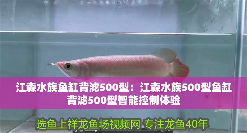 江森水族魚缸背濾500型：江森水族500型魚缸背濾500型智能控制體驗