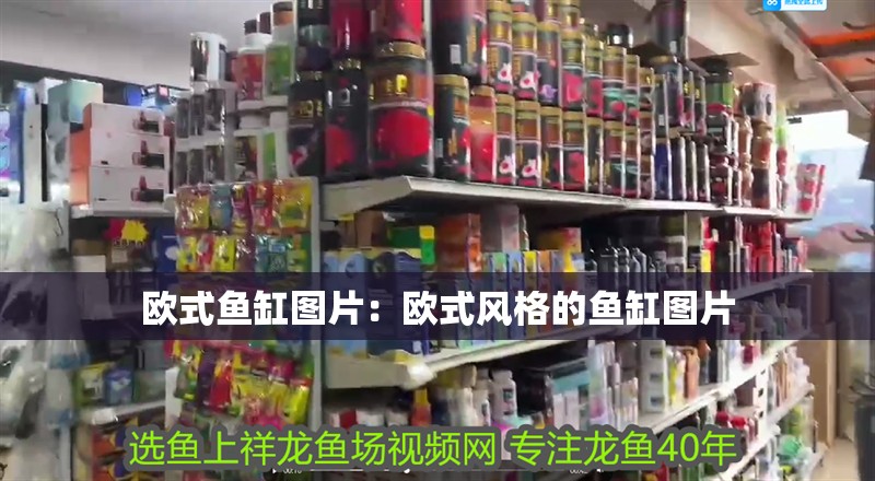 歐式魚缸圖片：歐式風(fēng)格的魚缸圖片