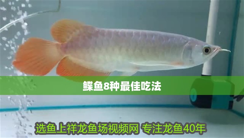鰈魚8種最佳吃法