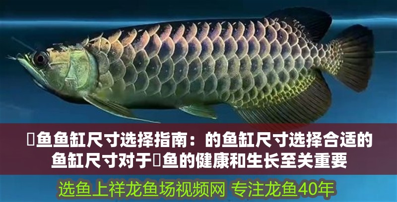 魟魚魚缸尺寸選擇指南：的魚缸尺寸選擇合適的魚缸尺寸對于魟魚的健康和生長至關重要