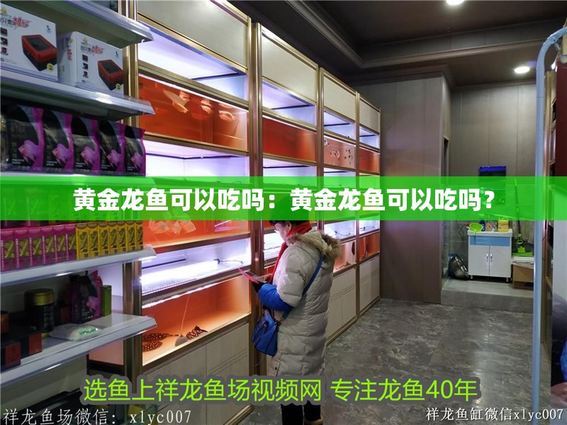 黃金龍魚可以吃嗎：黃金龍魚可以吃嗎？