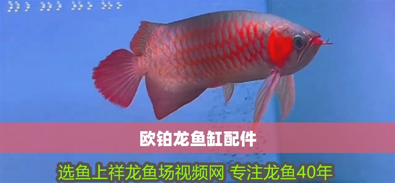 歐鉑龍魚缸配件