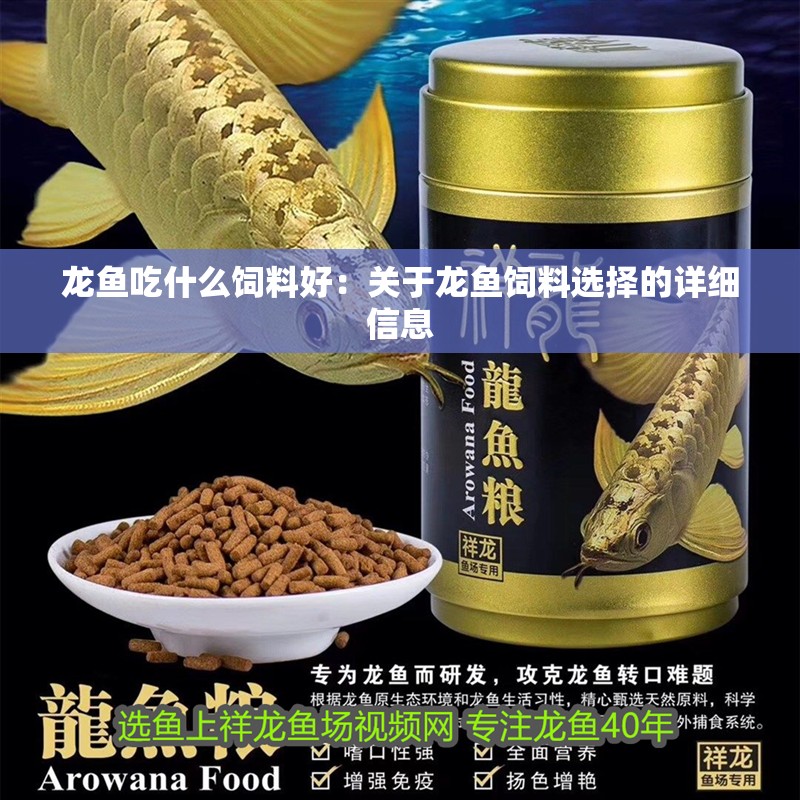 龍魚吃什么飼料好：關(guān)于龍魚飼料選擇的詳細(xì)信息