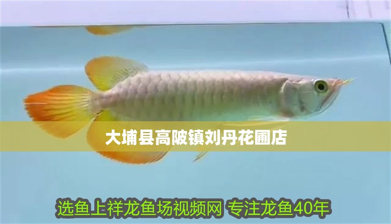 大埔縣高陂鎮劉丹花圃店