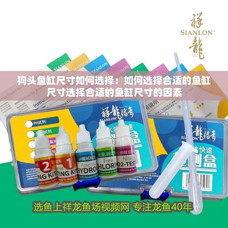 狗頭魚缸尺寸如何選擇：如何選擇合適的魚缸尺寸選擇合適的魚缸尺寸的因素