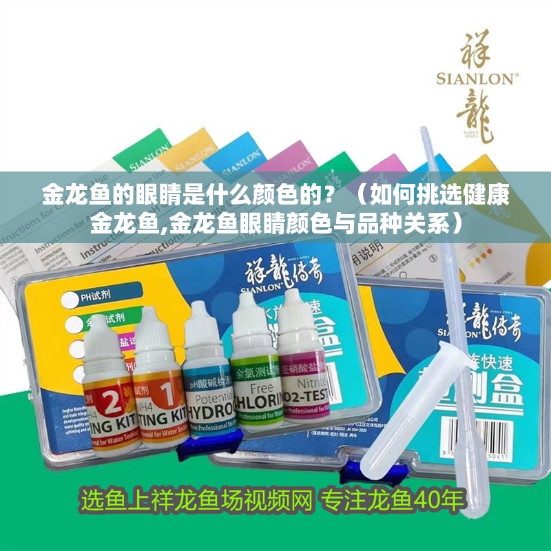 金龍魚的眼睛是什么顏色的？（如何挑選健康金龍魚,金龍魚眼睛顏色與品種關系）