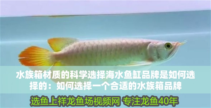 水族箱材質(zhì)的科學(xué)選擇海水魚缸品牌是如何選擇的：如何選擇一個(gè)合適的水族箱品牌
