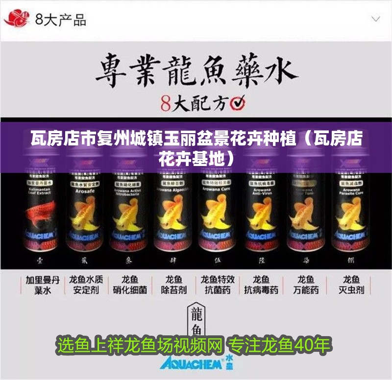 <strong><mark>瓦房店</mark></strong>市復州城鎮玉麗盆景花卉種植（<strong><mark>瓦房店</mark></strong>花卉基地）