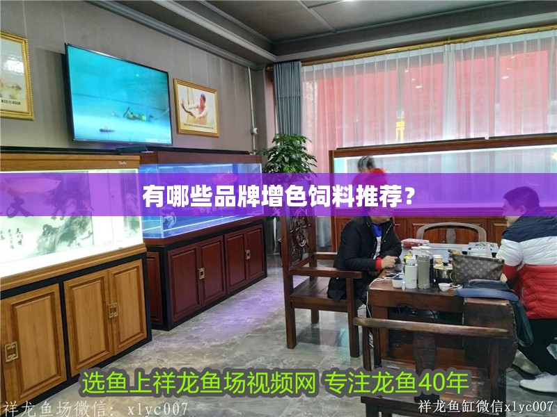 有哪些品牌增色飼料推薦？