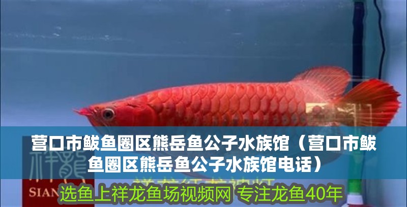營口市鲅魚圈區熊岳魚公子水族館（營口市鲅魚圈區熊岳魚公子水族館電話）