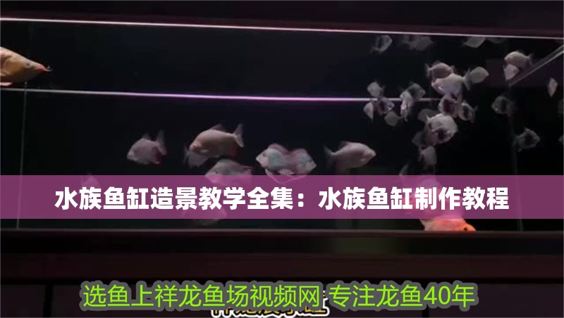 水族魚缸造景教學全集：水族魚缸制作教程