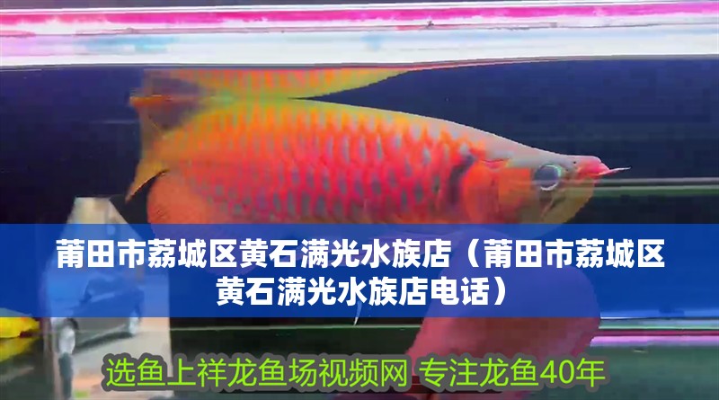 莆田市荔城區黃石滿光水族店（莆田市荔城區黃石滿光水族店電話）