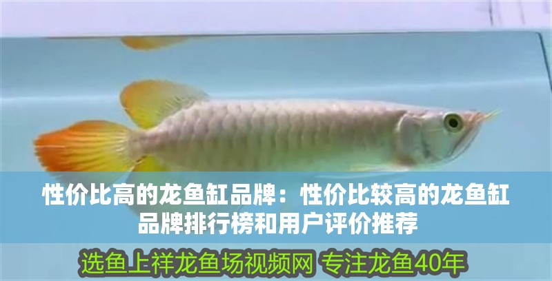 性價比高的龍魚缸品牌：性價比較高的龍魚缸品牌排行榜和用戶評價推薦 性價比高的龍魚缸品牌：性價比較高的龍魚缸品牌排行榜和用戶評價推薦 魚缸百科