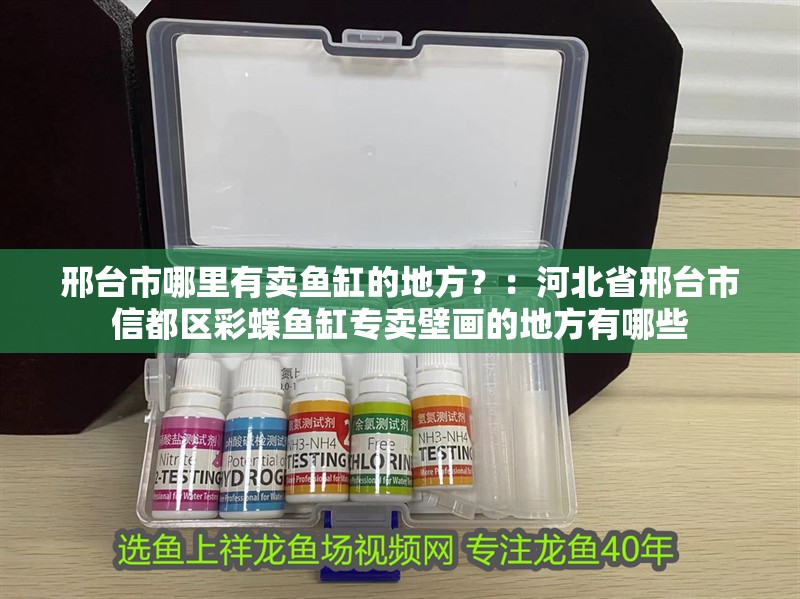 邢臺市哪里有賣魚缸的地方？：河北省邢臺市信都區彩蝶魚缸專賣壁畫的地方有哪些
