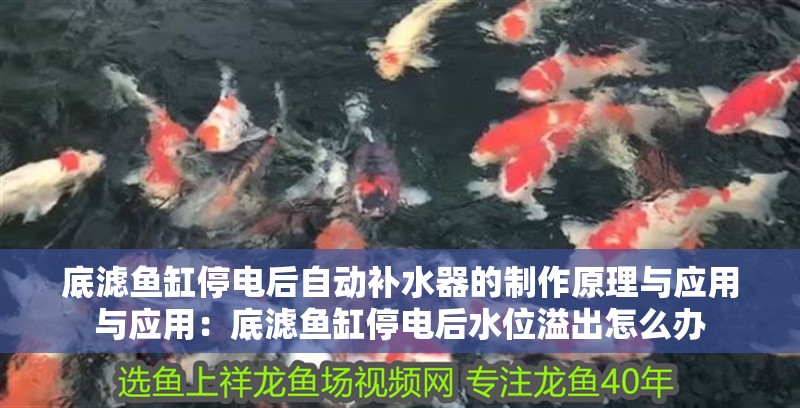 底濾魚缸停電后自動補水器的制作原理與應用與應用：底濾魚缸停電后水位溢出怎么辦