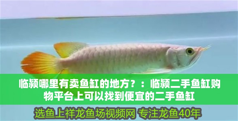 臨潁哪里有賣魚缸的地方？：臨潁二手魚缸購物平臺上可以找到便宜的二手魚缸