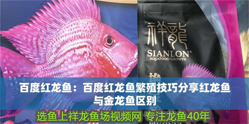魚缸用增氧泵價格是多少:魚缸增氧機-xtrac增氧機-xtrac增氧機 百度紅龍魚:百度紅龍魚繁殖技巧分享紅龍魚與金龍魚區(qū)別 龍魚百科 百度紅龍魚:百度紅龍魚繁殖技巧分享紅龍魚與金龍魚區(qū)別 百度紅龍魚:百度紅龍魚繁殖技巧分享紅龍魚與金龍魚區(qū)別 龍魚百科