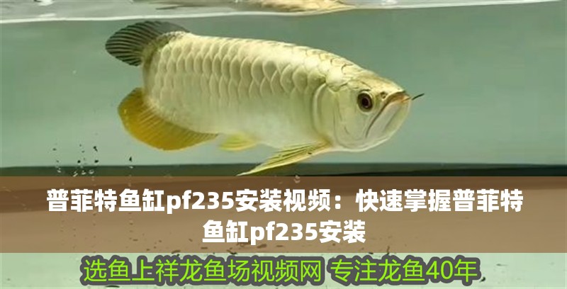 普菲特魚缸pf235安裝視頻：快速掌握普菲特魚缸pf235安裝