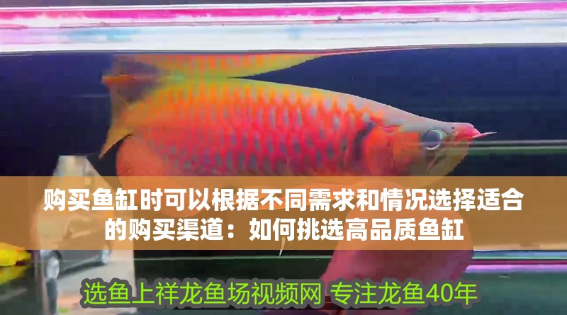 購買魚缸時可以根據不同需求和情況選擇適合的購買渠道：如何挑選高品質魚缸