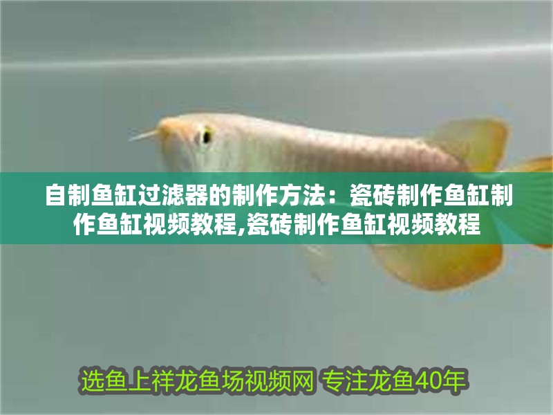 自制魚缸過濾器的制作方法：瓷磚制作魚缸制作魚缸視頻教程,瓷磚制作魚缸視頻教程 自制魚缸過濾器的制作方法：瓷磚制作魚缸制作魚缸視頻教程,瓷磚制作魚缸視頻教程 魚缸百科