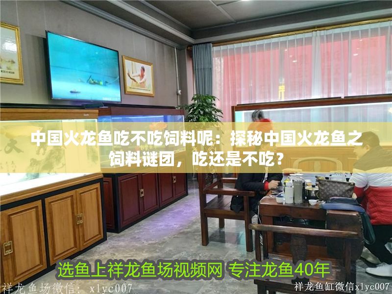 中國火龍魚吃不吃飼料呢：探秘中國火龍魚之飼料謎團，吃還是不吃？