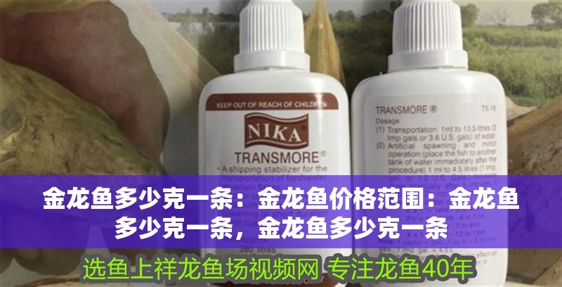 金龍魚多少克一條：金龍魚價格范圍：金龍魚多少克一條，金龍魚多少克一條