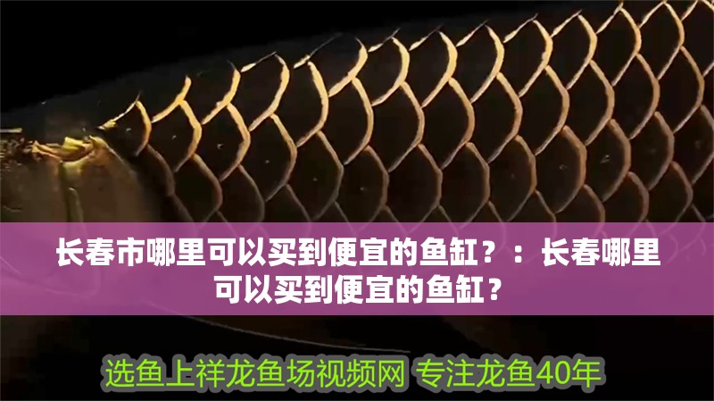 長春市哪里可以買到便宜的魚缸？：長春哪里可以買到便宜的魚缸？