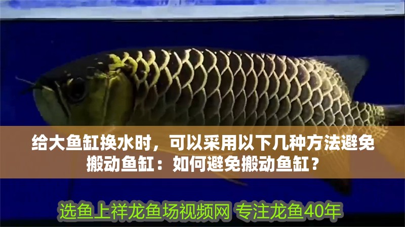 給大魚缸換水時，可以采用以下幾種方法避免搬動魚缸：如何避免搬動魚缸？