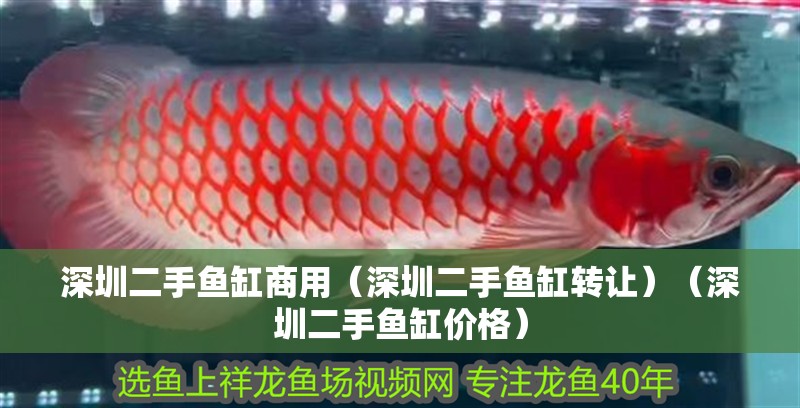 深圳二手魚缸商用（深圳二手魚缸轉讓）（深圳二手魚缸價格）