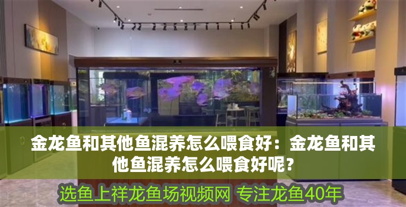 金龍魚和其他魚混養怎么喂食好：金龍魚和其他魚混養怎么喂食好呢？