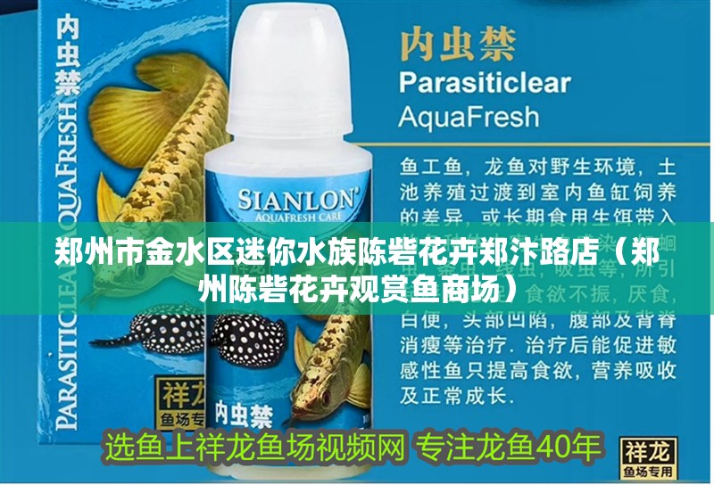 鄭州市金水區迷你水族陳砦花卉鄭汴路店（鄭州陳砦花卉觀賞魚商場）