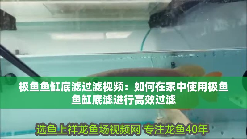 極魚魚缸底濾過濾視頻：如何在家中使用極魚魚缸底濾進行高效過濾
