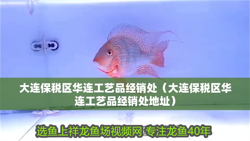 大連保稅區華連工藝品經銷處（大連保稅區華連工藝品經銷處地址）