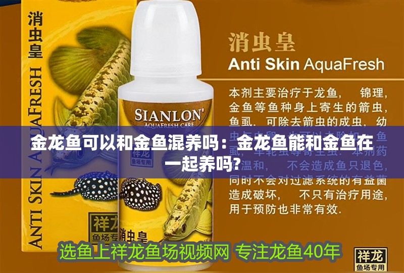 金龍魚可以和金魚混養嗎：金龍魚能和金魚在一起養嗎?