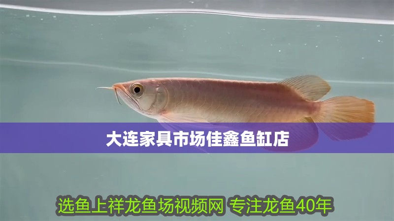 大連家具市場佳鑫魚缸店