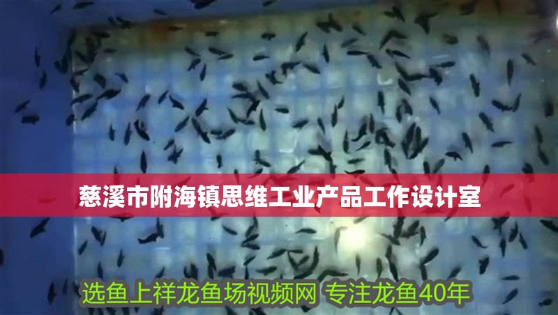 慈溪市附海鎮思維工業產品工作設計室