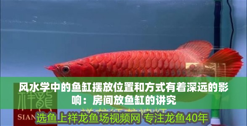 風水學中的魚缸擺放位置和方式有著深遠的影響：房間放魚缸的講究