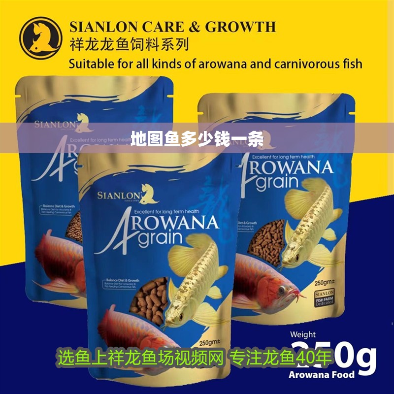 地圖魚多少錢一條