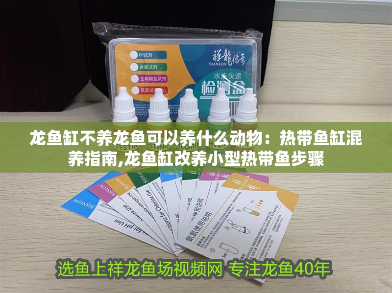 龍魚缸不養(yǎng)龍魚可以養(yǎng)什么動(dòng)物：熱帶魚缸混養(yǎng)指南,龍魚缸改養(yǎng)小型熱帶魚步驟