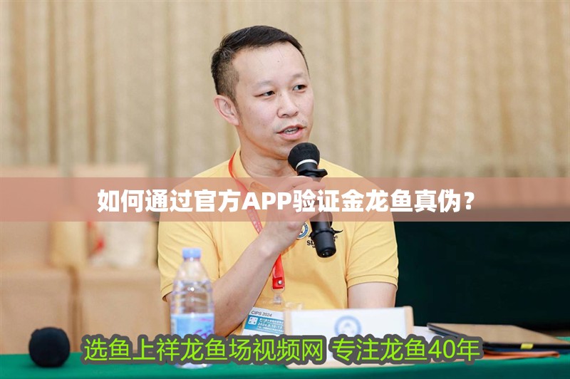如何通過官方APP驗證金龍魚真偽？