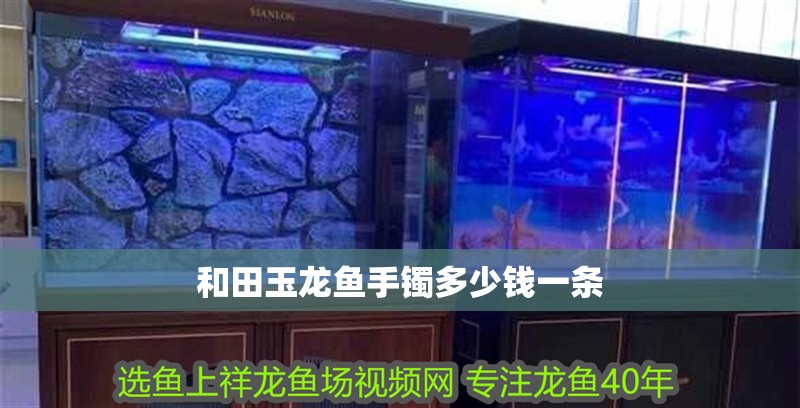 和田玉龍魚手鐲多少錢一條