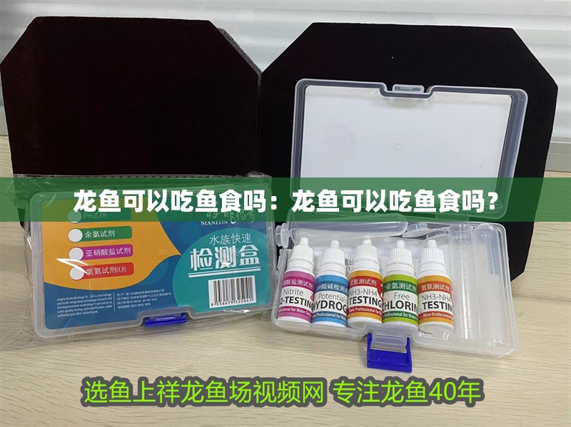 龍魚可以吃魚食嗎：龍魚可以吃魚食嗎？