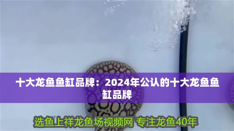 十大龍魚魚缸品牌：2024年公認的十大龍魚魚缸品牌
