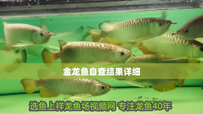 金龍魚自查結(jié)果詳細(xì)