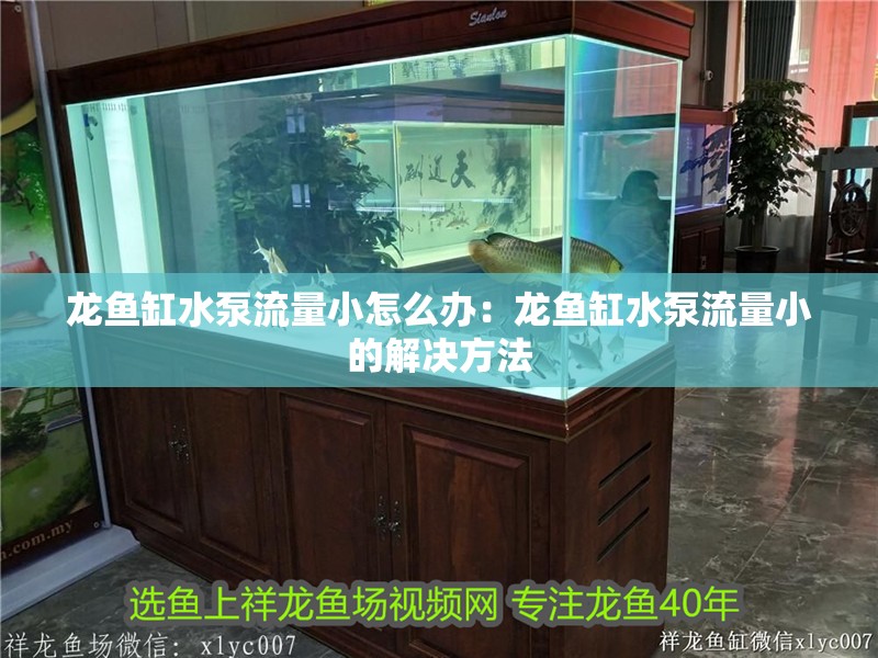 龍魚缸水泵流量小怎么辦：龍魚缸水泵流量小的解決方法