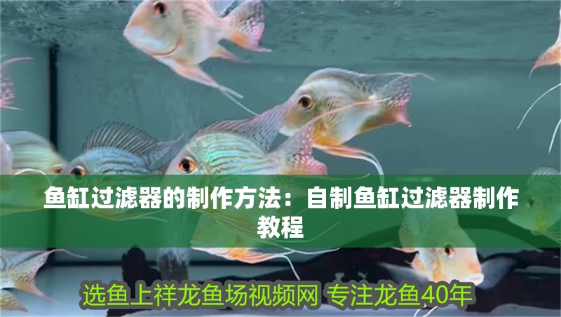 魚缸過濾器的制作方法：自制魚缸過濾器制作教程