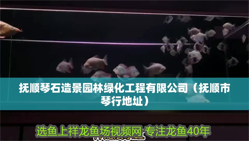 撫順琴石造景園林綠化工程有限公司（撫順市琴行地址）