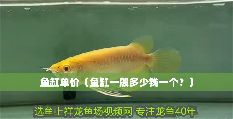 魚缸單價（魚缸一般多少錢一個？）