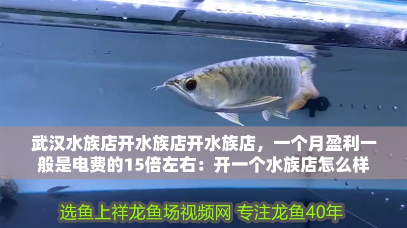 武漢水族店開水族店開水族店，一個月盈利一般是電費的15倍左右：開一個水族店怎么樣